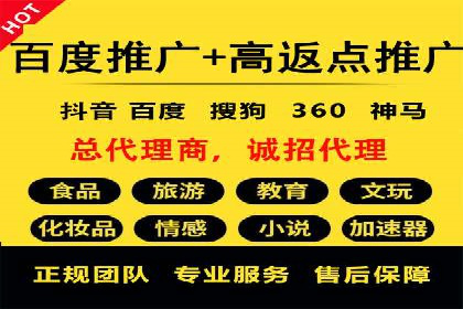推广竞价策略解析：成功案例分享